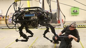 A BigDog robot at Boston Dynamics in 2010.