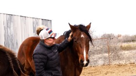 Shaley Griffin with her horses. Some of the horses were donated specifically to be used for equine-assisted therapy.