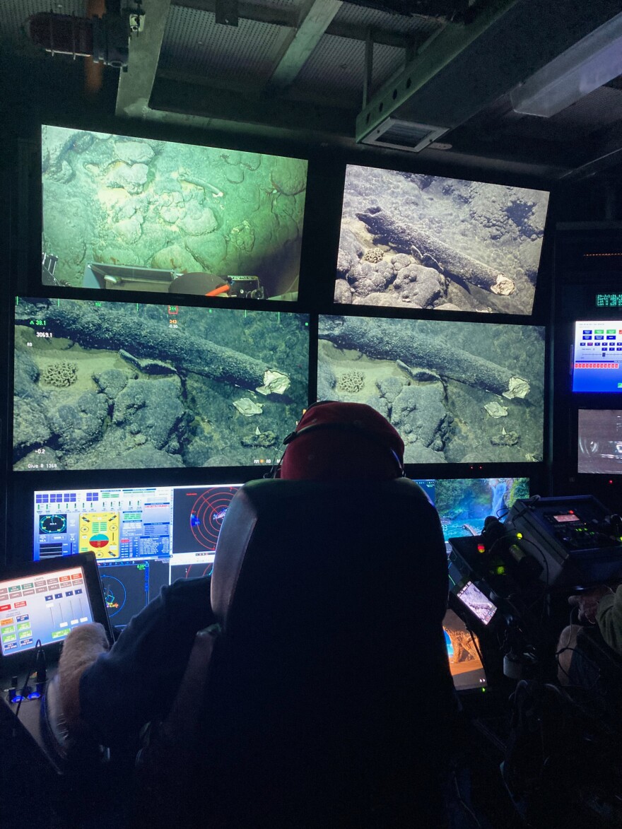 The crew rejoiced when the ROV's live video revealed the tusk right where they had originally found it in 2019.