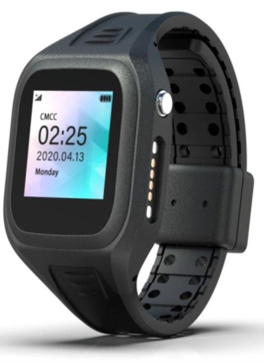 Image of new GPS wrist tracker shown to county commissioners during Tuesday's meeting