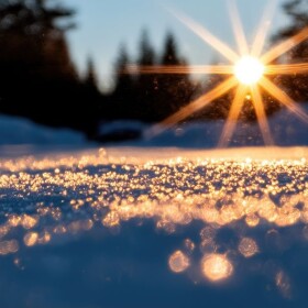 Ground level view of snow on ground with sun rays shining and creating lit-up ice granules; pine trees in background