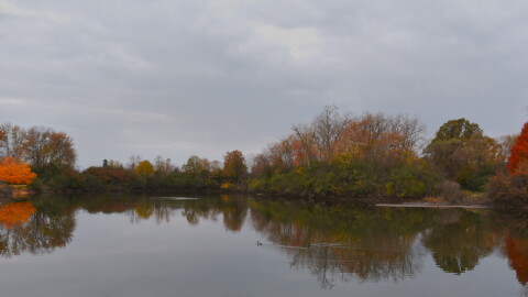 Under a portion of the state's environmental protection laws, the Michigan Department of Environment, Great Lakes, and Energy has been banned from updating rules to deal with certain water pollution. Bills to restore the agency's authority are before the lame duck session of the Legislature.