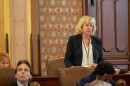 Sen. Julie Morrison, D-Lake Forest, presents a bill in the Illinois Senate on May 21, 2025.