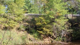 Several trees just below the train tracks have fallen into the river because the soil underneath eroded away.