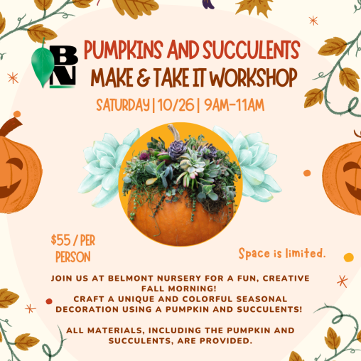 Pumpkins and Succulents Make & Take It