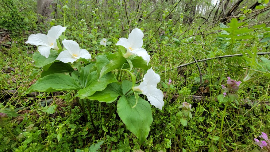 20220426_111417.jpg