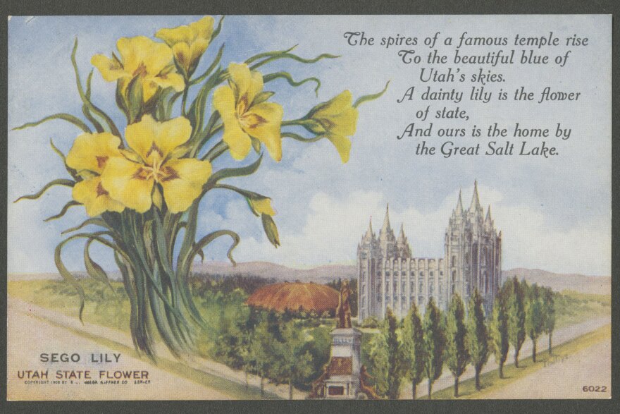 Early Latter-day Saint Church prophet Brigham Young declared the sego lily a “heaven-sent source of food.”