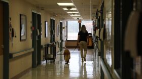 Therapy dog Lucy and her handler, Susan Stanitski, walk the hall of the cardiac floor at Chesapeake Regional Medical Center in July. Lucy can visit patients in their rooms again after the last few COVID restrictions lifted. (Image: Laura Philion)