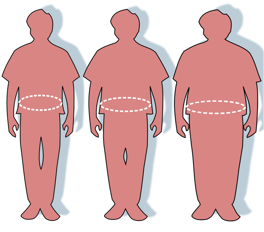 From left to right, as labeled in the original image, the "healthy" man has a 33 inch (84 cm) waist, the "overweight" man a 45 inch (114 cm) waist, and the "obese" man a 60 inch (152cm) waist.