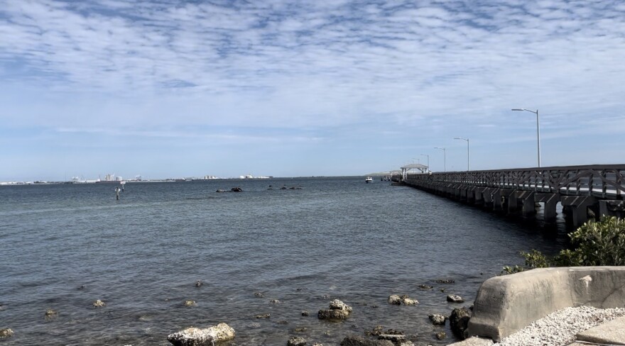 Ballast Point Park Pier from the beginning, and a few rocks along the Bay shoreline