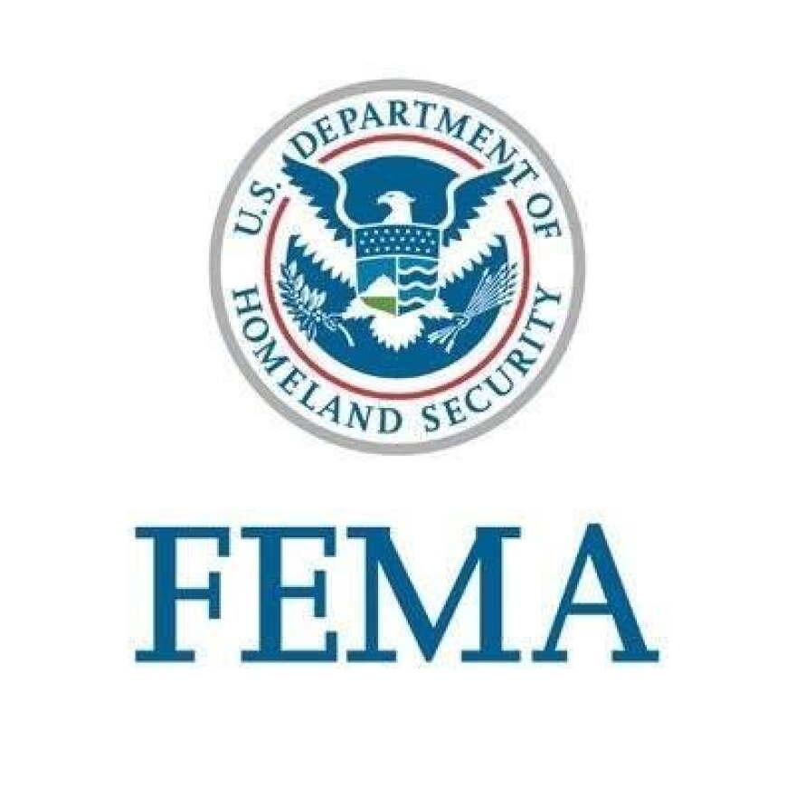 Federal Emergency Management Agency (FEMA) logo