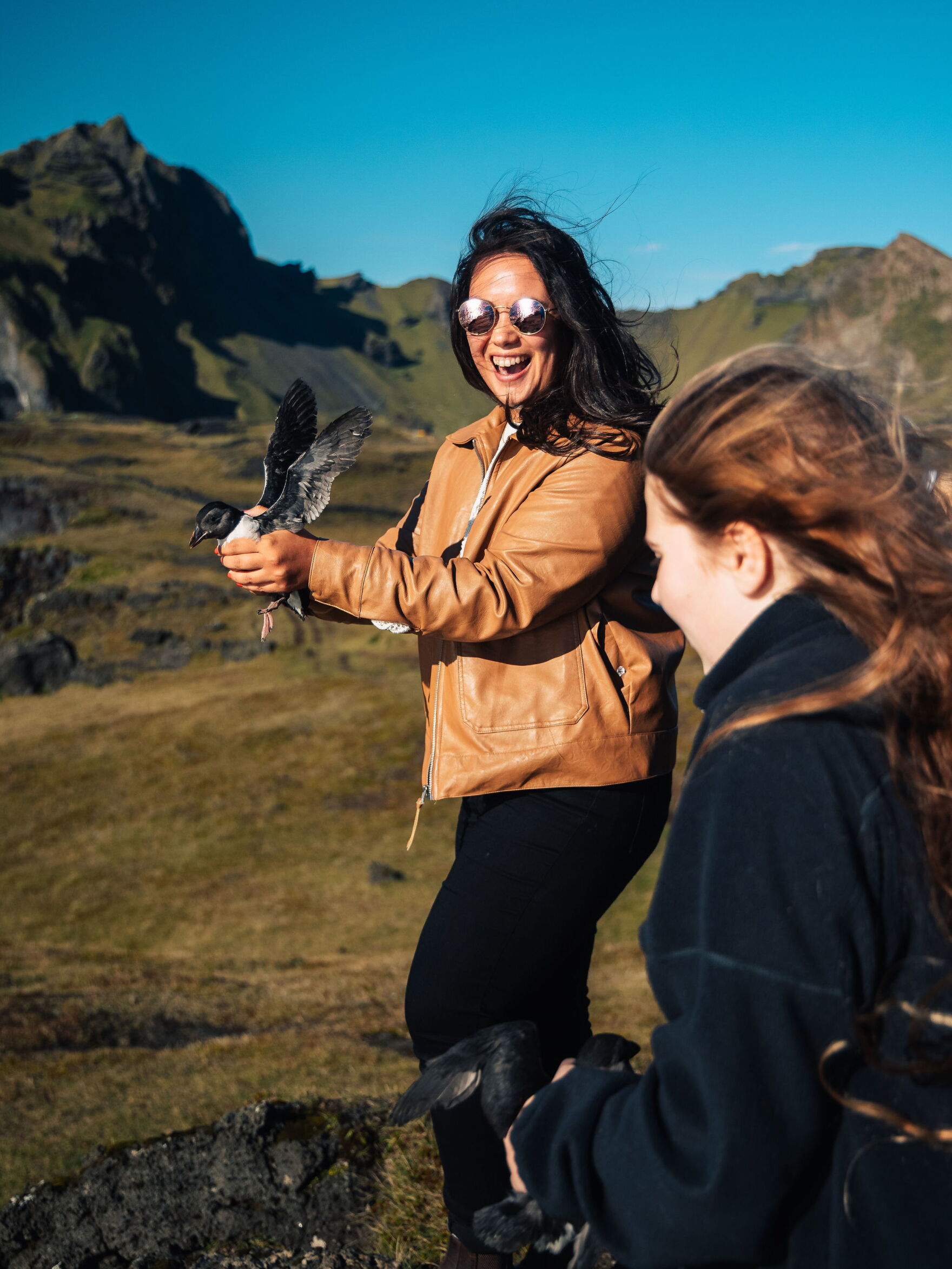 Perfeatly Normal Why it's perfectly normal to see baby puffins thrown off cliffs in ...