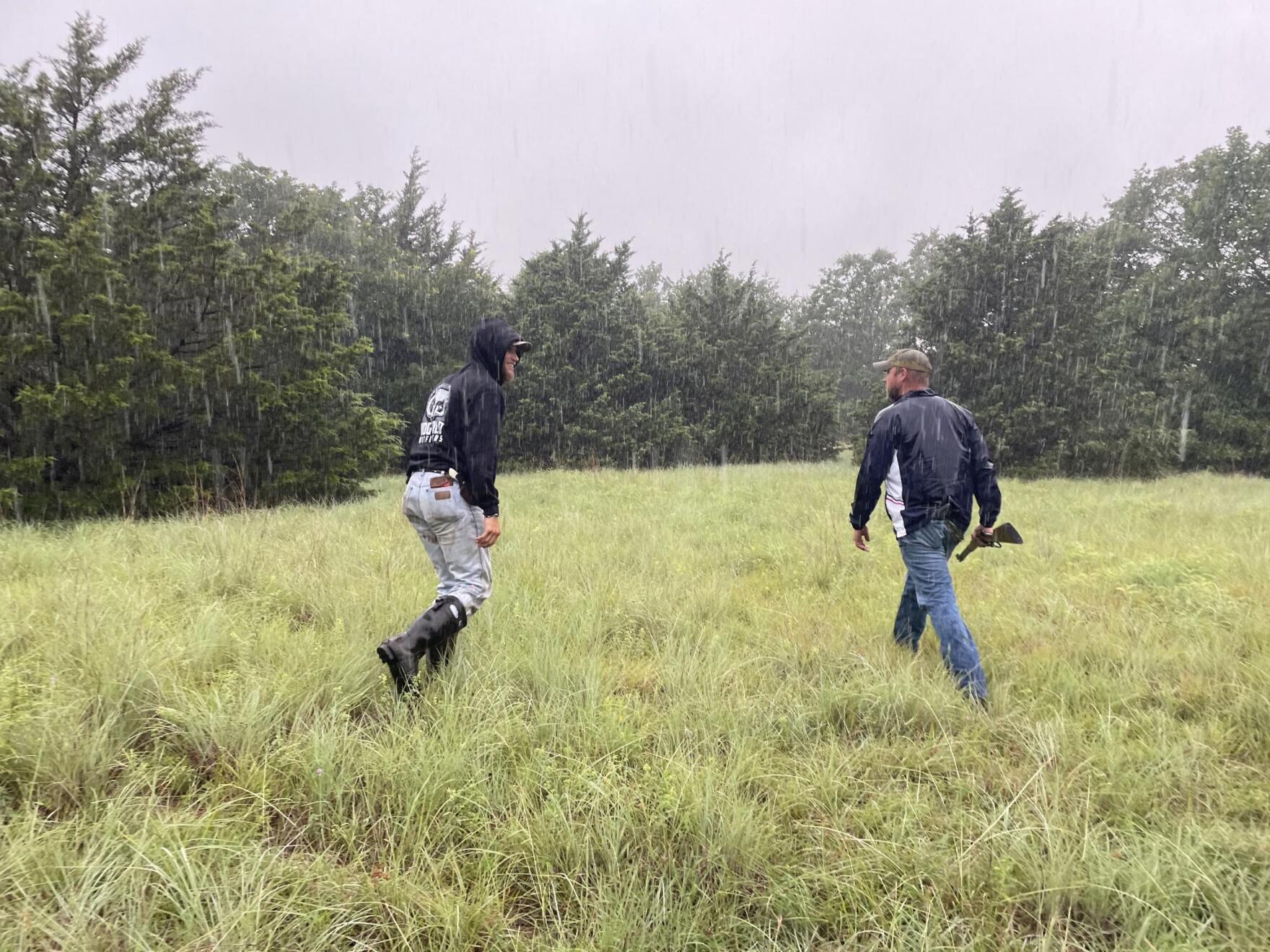 Feral Hogs Run Rampant Across The Midwest. But Hunting May Hurt More