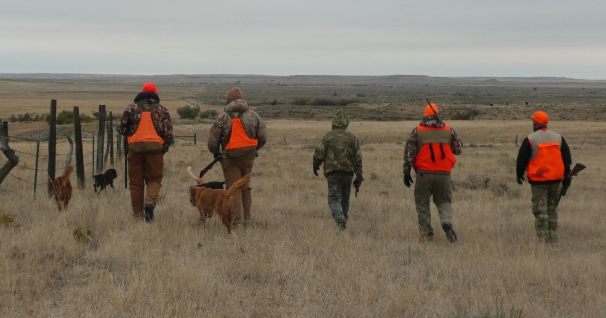 Hunters also want protections for endangered species, poll says