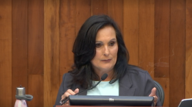 Mayor Nancy Vaughan speaks at a Greensboro City Council meeting on Tuesday, July 11, 2023. Screenshot: DJ Simmons/WFDD