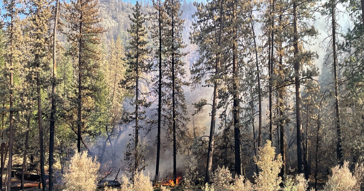 Suprising Fire Why suppressing wildfires may be making the Western fire crisis worse ...