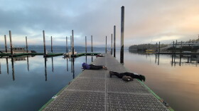 Dockfouling is the act of observing marine life found under docks. Luan Roberts and others make regular visits to docks in Washington's Puget Sound to observe and record what they find, creating a valuable data baseline for science.