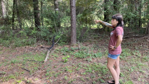 Erica Olmstead points to the property where the dirt pit just on the other side of the trees from her backyard on August 20, 2026.  "I have chronic bronchitis and lung issues from my deployment to Iraq in 2010. One of my 100% disability ratings is for bronchitis, so having all that dust and all that stuff in the air would be really, really bad for me," she said.