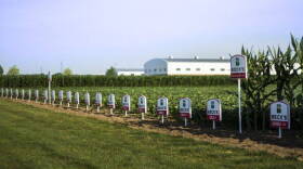 Tejas Workforce Connection of Texas, recruits temporary agricultural workers for companies including Beckâ€™s Hybrids in Hamilton County.