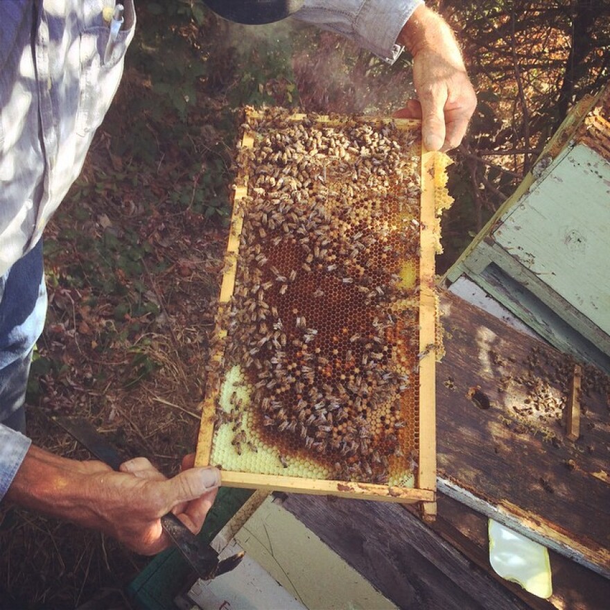 Spencer Marshall shows how he harvests honey from hives on his farm in Napa Valley.