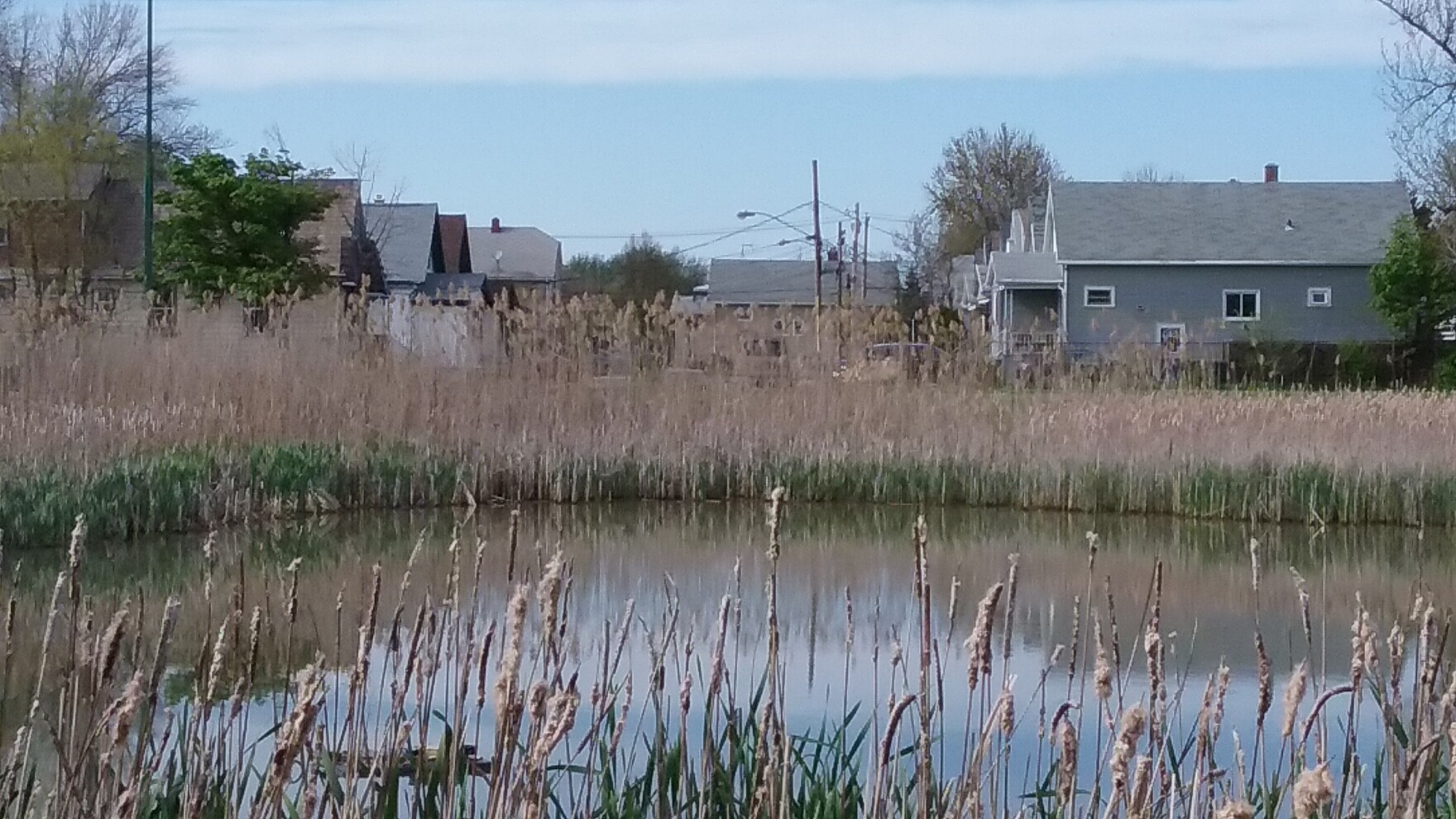 Schiller Park ready for long overdue upgrades WBFO