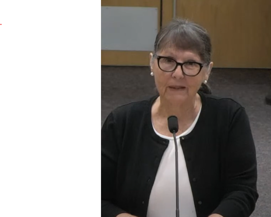 A woman wearing glasses and a black long-sleeved shirt speaks into a microphone.