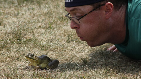 JP Kronschnabel blows on a frog to try to get it to jump during the Wisconsin State Frog Jump in July 2026. (credit: Dan Wanschura / Points North)