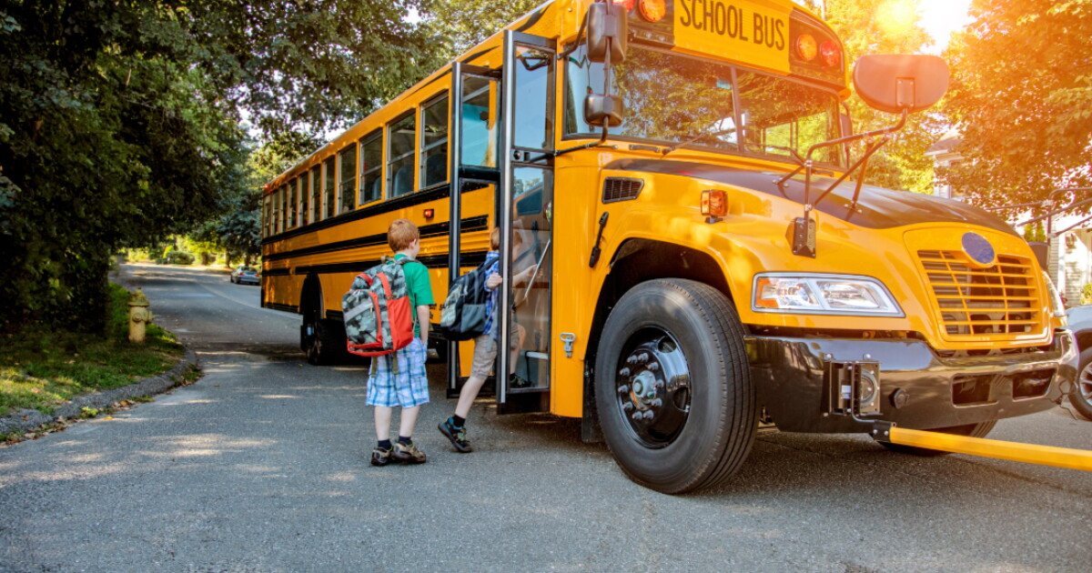 A young redheaded boy getting onto a school bus in sunshine.