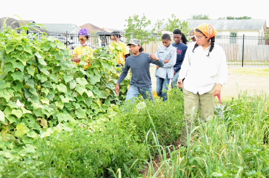 People walk through Garcia Street Urban Farm located at 218 Garcia Street. The farm is operated by Eco Centro of San Antonio College in partnership with Opportunity Homes.