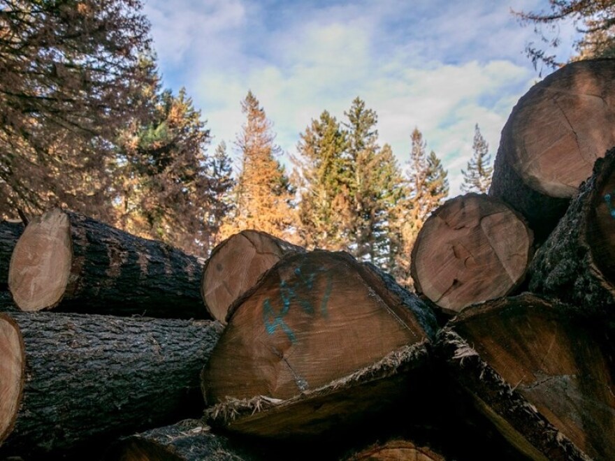 The address of Kristi and Brian Anderson is spray-painted on a log in a deck of Douglas firs cut down by PG&E after their Santa Cruz County home was destroyed in a wildfire.
