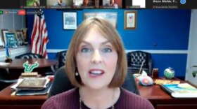 Rep. Kathy Castor, D-Tampa, speaking at a virtual press conference Tuesday morning on environmental justice issues in Florida. (Zoom Screenshot/WUSF)