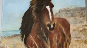 Saturday will be the opening day of the Arts Council of Carteret County exhibit "Wild Horses of the Outer Banks."