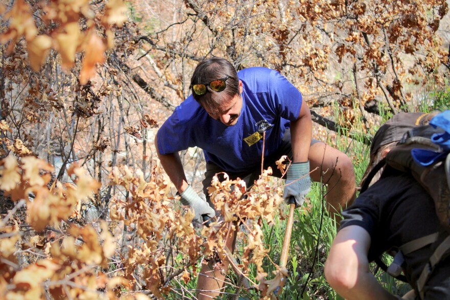 Volunteers clipped, sawed, and pruned vegetation away from the trail. That work is designed to clearly delineate the course of the hiking trail, keeping people from stepping onto adjacent plants.