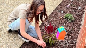 Chesapeake Girl Scout Caitlin Watson created a living classroom at Great Bridge Intermediate, a project the Girl Scouts of the Colonial Coast say may not be possible if a district facility use policy changes. (Courtesy of Marcy Germanotta, Girl Scouts of the Colonial Coast)
