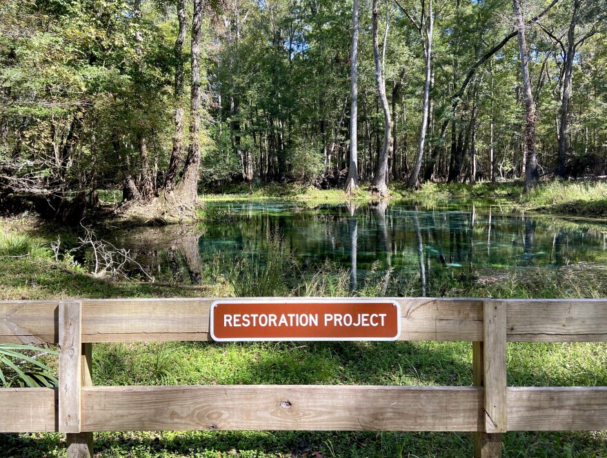 Gilchrist Blue Springs required a restoration project after its waters became murky and brown.