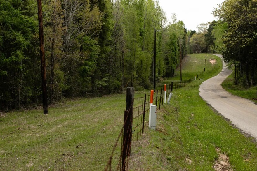 A heavily wooded property off of a country road near Athens in Henderson Co. on April 1, 2019. Diode Ventures has withdrawn plans for a datacenter in the East Texas county.