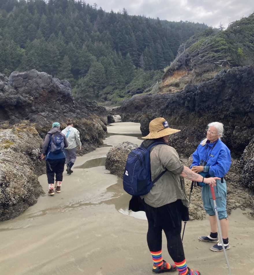 Cape Perpetua Collaborative tidepool leader Jamie Kish leads a group through an intertidal zone during a low tide. Extremely low tides beginning Sunday will reveal even more sea life in the rocky outcroppings along the central Oregon Coast.