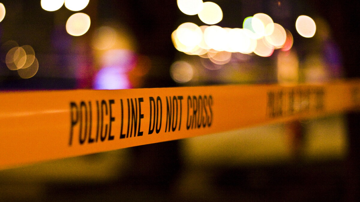 Colorado teen pleads guilty in death of driver who was hit in the head by a rock - Vimarsana News