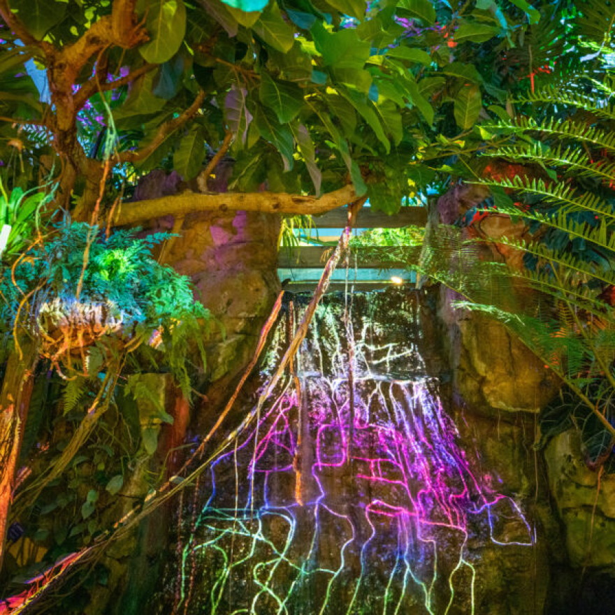 All photos are courtesy of Olbrich Botanical Gardens; all rights are reserved.