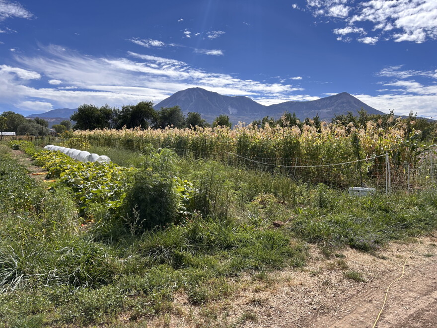 High Desert Seeds + Gardens farm in Paonia, Colorado.