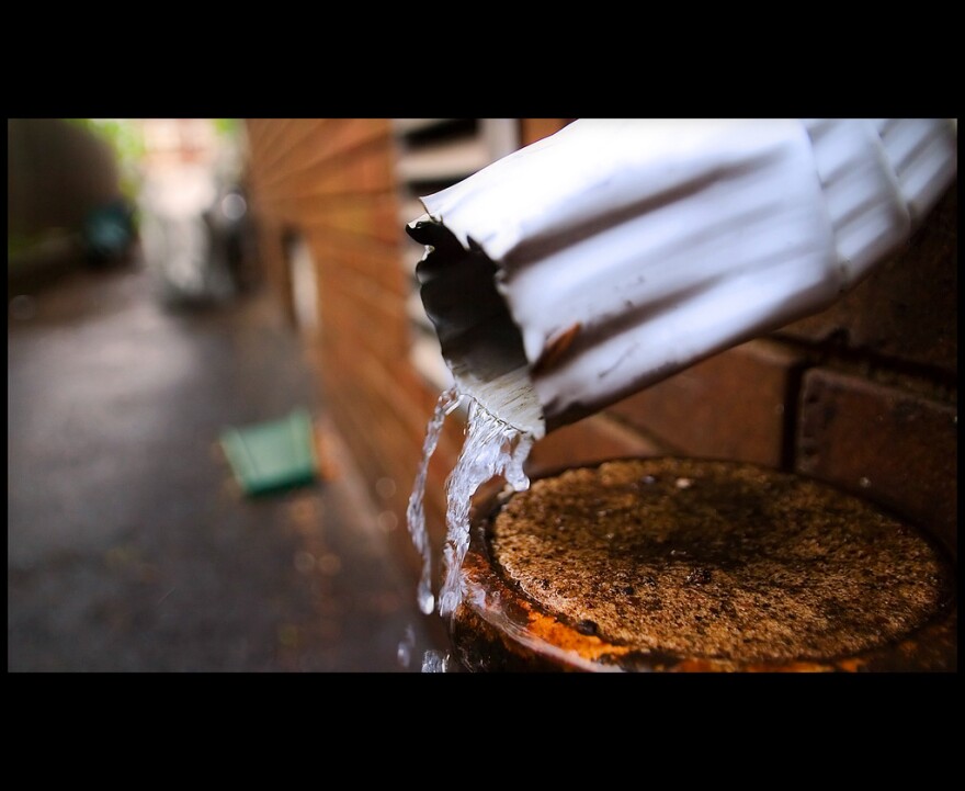 484353297_c838bea6e6_b