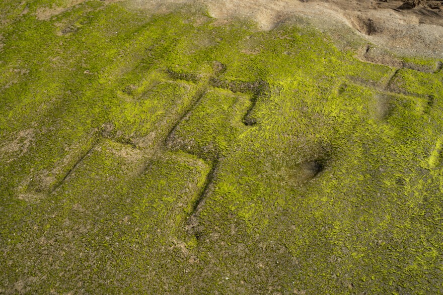 A close-up shows two of several human-shaped petroglyphs carved into the rock at Pōkaʻī Bay, July 22, 2025, in Waiʻanae, Hawaiʻi.