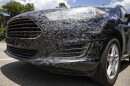 Lovebugs splattered on the grill of a car.