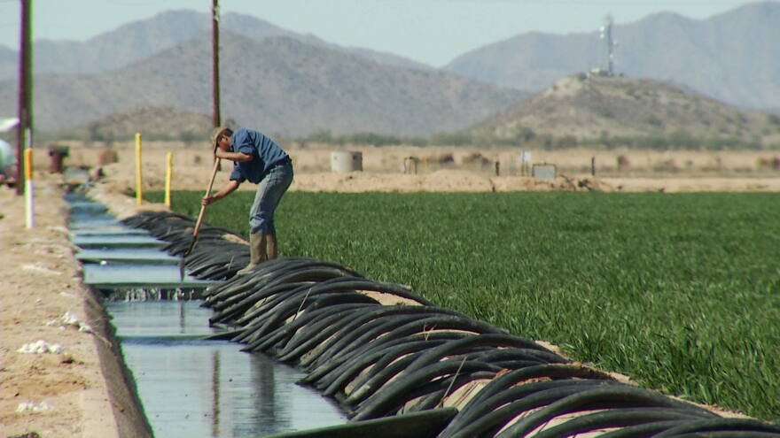 Farmers agriculture