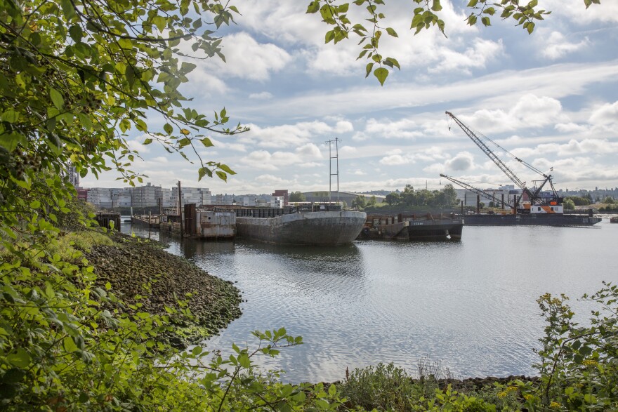 Barges and construction cranes rest on the mouth of the Duwamish River in Seattle. The waterway is a heavily industrialized estuary for the city and the state.