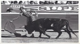 David Renk decided to study bullfighting when he was 28.