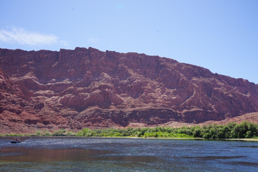 The Colorado River at Lees Ferry in May 2026.