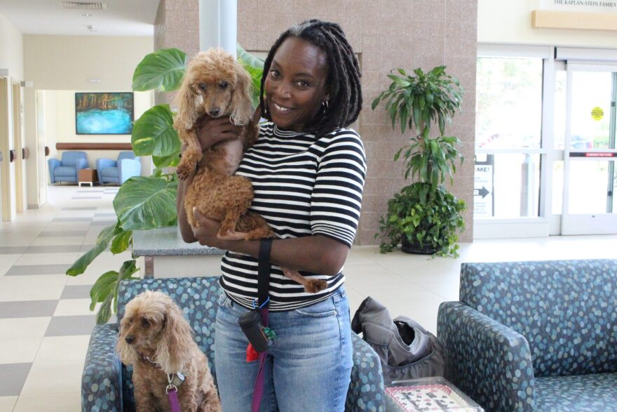  Kimberley David holds her 12-year-old miniature poodle, George, on George’s discharge date at UF's Small Animal Hospital, along with Louise, her other miniature poodle.  