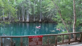 USGS cuts removed continuous nitrate monitoring from Manatee Springs along the Suwannee River on July 1. It will stop pH monitoring on October 1. (Rose Schnabel/WUFT News)