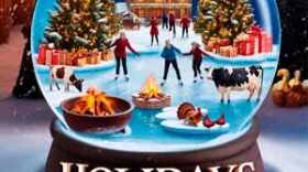 Arts Center Theatre Promo for 'Holidays on Ice'